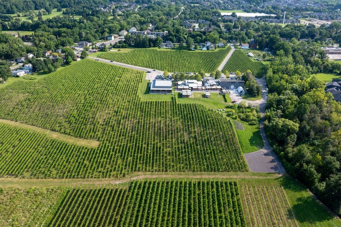 Niagara-on-the-Lake vineyards near the district airport