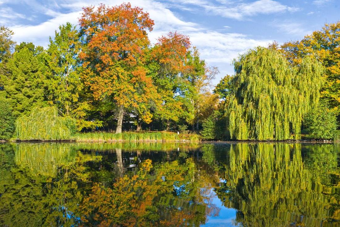 Lake Wilcox at Oak Ridges