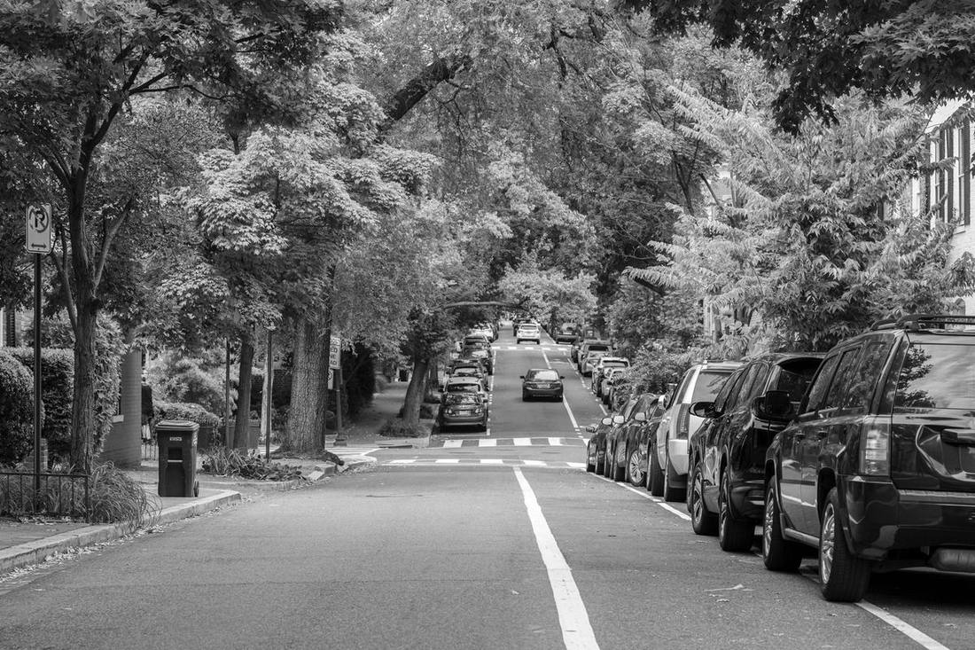 A tree-lined Davisville residential street with a black SUV at the curb