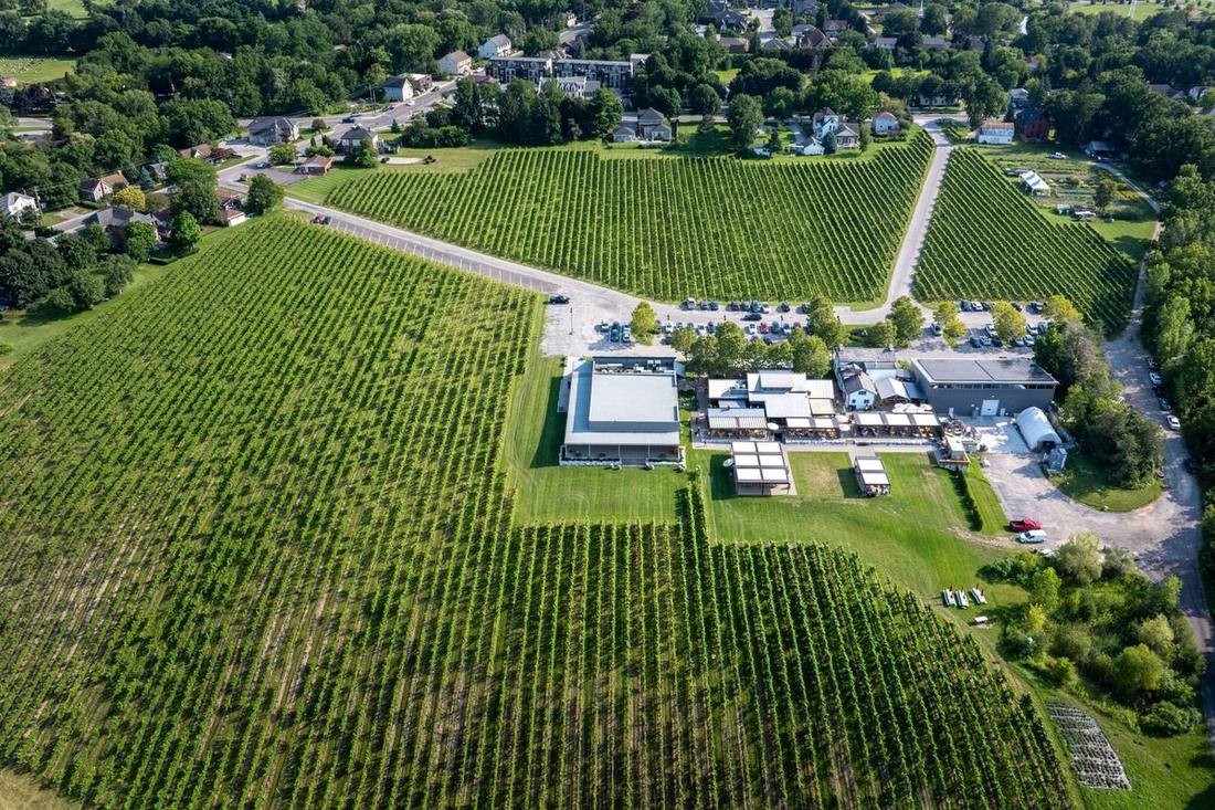 Niagara wine tours with a private chauffeur: Bench, Lakeshore and Niagara-on-the-Lake