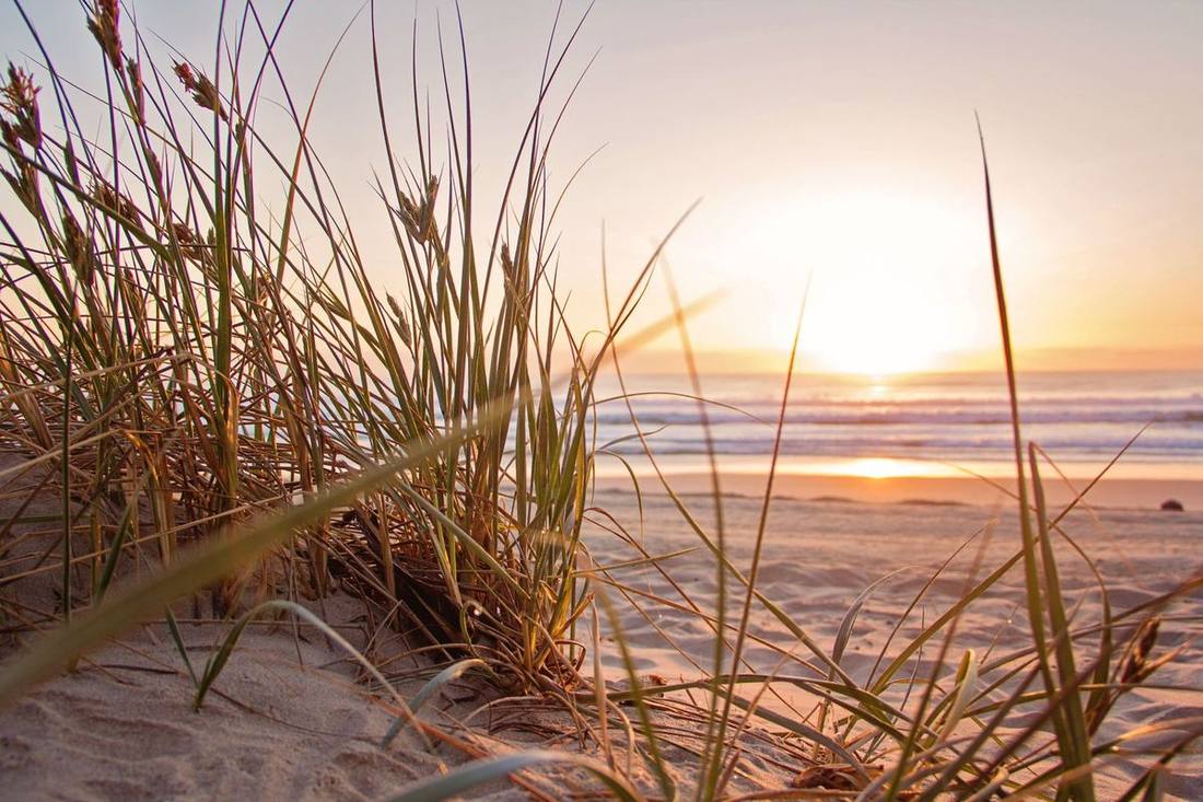 Prince Edward County from Toronto: wineries, Sandbanks and the long weekend