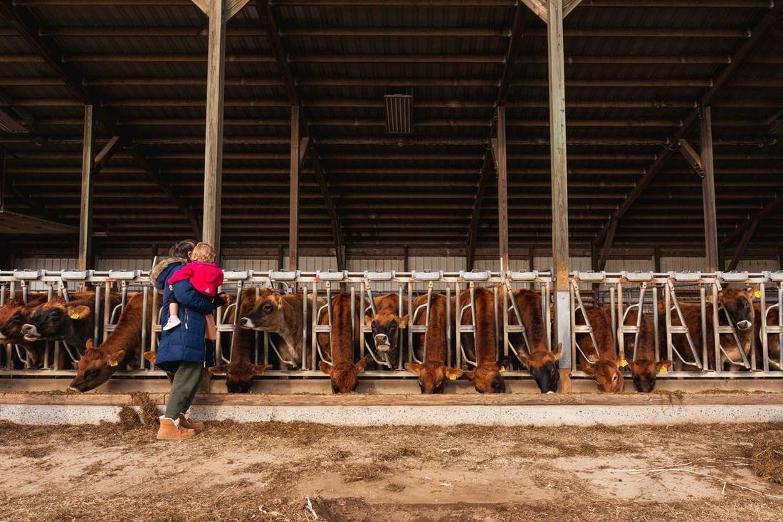 Families at the Royal's livestock barns in the Enercare Centre