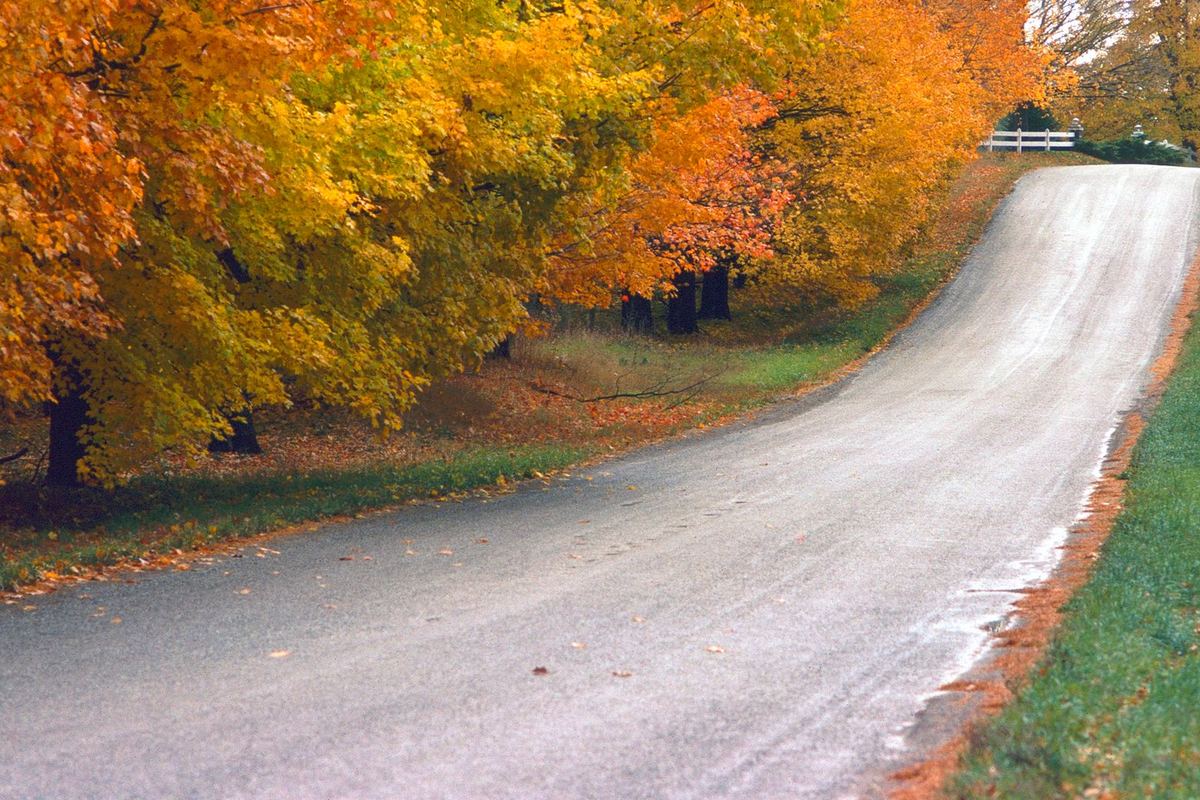 Fall colours from Toronto: five chauffeured drives in October